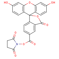 CAS: 92557-80-7 | BIC1054 | 5-Carboxyfluorescein N-hydroxy succinimide ester