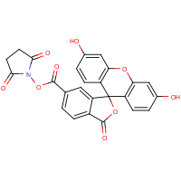 CAS:92557-81-8 | BIC1055 | 6-Carboxyfluorescein N-hydroxy succinimide ester
