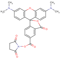 CAS:150810-68-7 | BIC1061 | 5(6)-Carboxytetramethylrhodamine N-hydroxysuccinimide ester