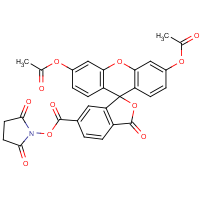 CAS: 150206-15-8 | BIC1065 | 6-Carboxyfluorescein diacetate N-hydroxysuccinimide ester
