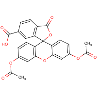 CAS: 3348-03-6 | BIC1070 | 6-Carboxyfluorescein diacetate