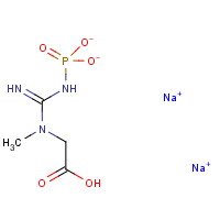 CAS: 6190-45-0 | BIC1452 | Creatine phosphate, disodium salt