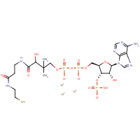 CAS: 18439-24-2 | BIC7401 | Coenzyme A trilithium salt