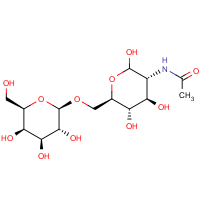 CAS:50787-10-5 | BICL2003 | N-Acetylallolactosamine
