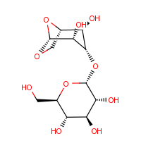 CAS: | BICL2025 | 1,6-Anhydro-3-O-?-D-glucopyranosyl-?-D-glucopyranose