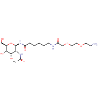 CAS:  | BICL2042 | 2-Acetamido-2-deoxy-N-(2-(2-aminoethoxy)ethoxy)acetylaminohexanoyl-?-D-glucopyranosylamine