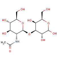 CAS: 67006-44-4 | BICL2056 | 3-O-(2-Acetamido-2-deoxy-β-D-glucopyranosyl)-D-galactose