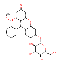 CAS: 1395879-36-3 | BICL2282 | Fluorescein methyl ester ?-D-glucopyranoside