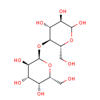 CAS:56907-30-3 | BICL2295 | 4-O-?-D-Galactopyranosyl-D-glucose