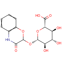 CAS:1613271-29-6 | BICL2307 | 2-?-D-Glucuronopyranosyloxy-1,4-benzoxazin-3-one