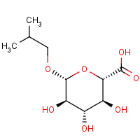 CAS: 5391-15-1 | BICL2326 | Isobutyl ?-D-glucuronide