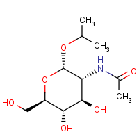 CAS: 19124-40-4 | BICL2329 | Isopropyl 2-acetamido-2-deoxy-α-D-glucopyranoside