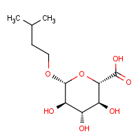 CAS: 80712-92-1 | BICL2331 | Isopentyl β-D-glucuronide