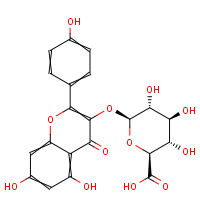 CAS:22688-78-4 | BICL2345 | Kaempferol 3-O-?-D-glucuronide