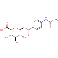 CAS: 34220-56-9 | BICL4005 | Acedoben-acyl-beta-D-glucuronide