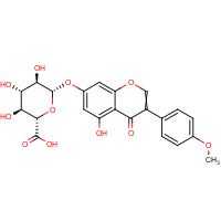 CAS: 38482-76-7 | BICL4037 | Biochanin A-7-O-beta-D-glucuronide