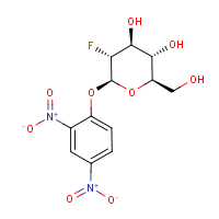 CAS:111495-86-4 | BICL4069 | 2,4-Dinitrophenyl 2-deoxy-2-fluoro-beta-D-glucopyranoside