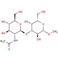 CAS: 93253-17-9 | BICL4168 | Methyl 3-O-(2-acetamido-2-deoxy-beta-D-glucopyranosyl)-beta-D-galactopyranoside