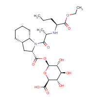 CAS: 120398-66-5 | BICL4187 | Perindopril-acyl-beta-D-glucuronide