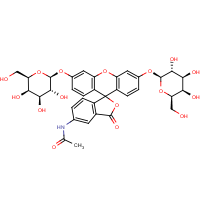 CAS: 216299-45-5 | BICL4232 | 5-Acetamidofluorescein di-(beta-D-galactopyranoside)
