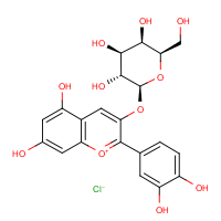 CAS: 27661-36-5 | BICL4237 | Cyanidin 3-O-beta-D-galactopyranoside chloride