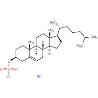 CAS: 2864-50-8 | BICL4238 | Cholesterol-3-sulfate, sodium salt