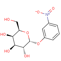 CAS: 52571-71-8 | BICL4247 | 3-Nitrophenyl alpha-D-galactopyranoside