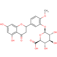 CAS: 1237479-05-8 | BICL4274 | Hesperetin 3'-O-beta-D-glucuronide