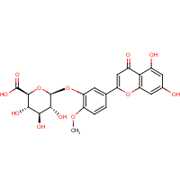 CAS: 152503-50-9 | BICL4329 | Diosmetin 3'-O-beta-D-glucuronide
