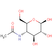 CAS: 93060-86-7 | BICL5005 | 4-Acetamido-4-deoxy-D-glucopyranose