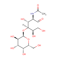 CAS: 205380-69-4 | BICL5006 | 2-Acetamido-2-deoxy-4-O-alpha-D-galactopyranosyl-D-glucose