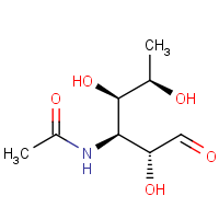 CAS: 4277-45-6 | BICL5012 | 3-Acetamido-3,6-dideoxy-D-galactose