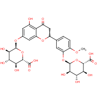 CAS:152503-51-0 | BICL5031 | Diosmetin 7,3'-di-O-beta-D-glucuronide