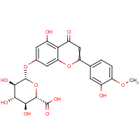 CAS:35110-20-4 | BICL5032 | Diosmetin 7-O-beta-D-glucuronide