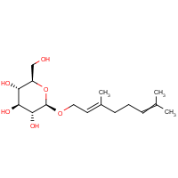 CAS:22850-13-1 | BICL5049 | Geranyl beta-D-glucopyranoside