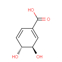 CAS:108646-25-9 | BICR104 | (3R,4R)-3,4-dihydroxycyclohexa-1,5-diene-1-carboxylic acid
