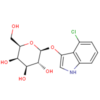 CAS: 135313-63-2 | BICS0114 | 4-Chloro-3-indolyl beta-D-galactopyranoside
