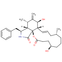 CAS: 39156-67-7 | BID1004 | Dihydrocytochalasin B