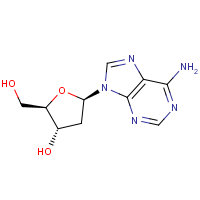 CAS:958-09-8 | BID1006 | 2'-Deoxyadenosine