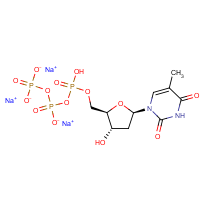 CAS:27821-54-1 | BID6623 | 2'-Deoxythymidine-5'-triphosphate trisodium salt
