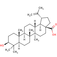 CAS:472-15-1 | BIDF1011 | Betulinic acid with hplc