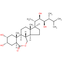 CAS:78821-43-9 | BIE0244 | 24-Epibrassinolide