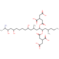 CAS: 116355-83-0 | BIF1004 | Fumonisin B1 from Fusarium moniliforme