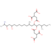 CAS:116355-84-1 | BIF1005 | Fumonisin B2 from Fusarium moniliforme