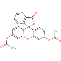 CAS:596-09-8 | BIF4105 | Fluorescein diacetate