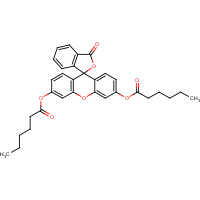 CAS:7364-90-1 | BIF4108 | Fluorescein dicaproate