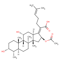 CAS:6990-06-3 | BIF6400 | Fusidic acid, free acid