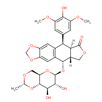 CAS:33419-42-0 | BIFK0021 | Etoposide