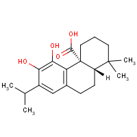 CAS:3650-09-7 | BIFK0050 | Carnosic Acid, Free Acid