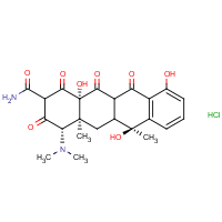CAS:64-75-5 | BIG1033 | Tetracycline hydrochloride (10mg/ml)